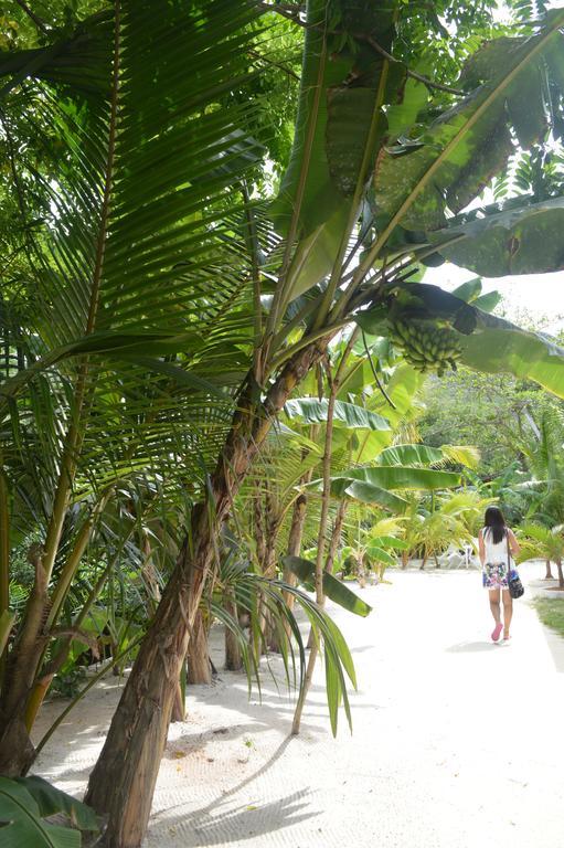 Villa Veuve Casadani Hotel La Digue Kültér fotó