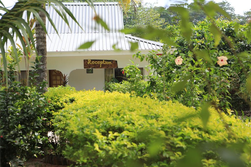 Villa Veuve Casadani Hotel La Digue Kültér fotó